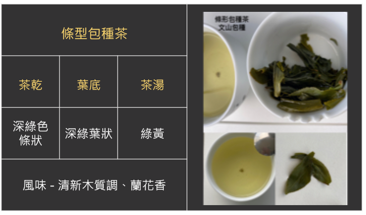 清香型烏龍茶-條型包種茶